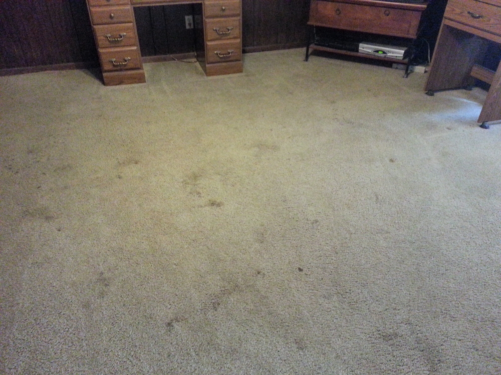 Deo Clean - Carpet Cleaning Before