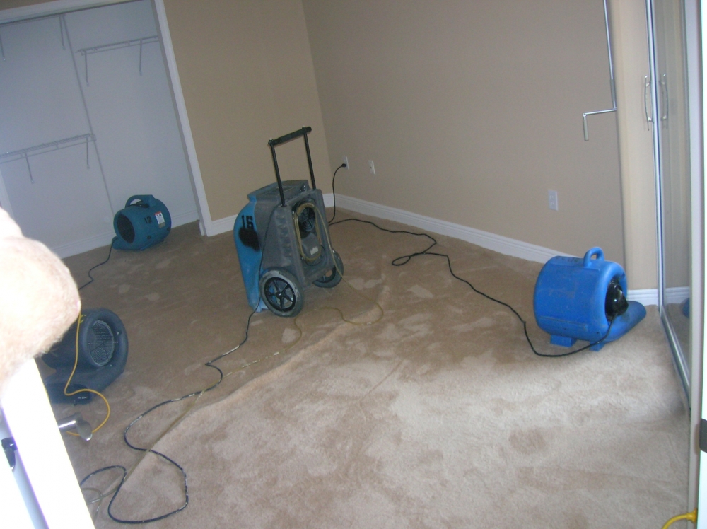 Deo Clean - Water Damage Clean Up